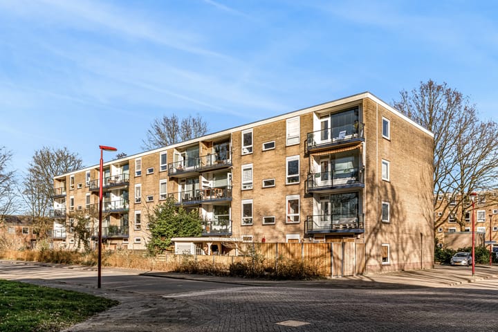 Foto 25 van Wenckebachplantsoen 13