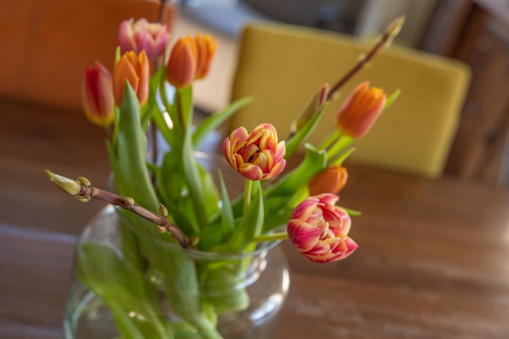 Foto 28 van Brederode 7