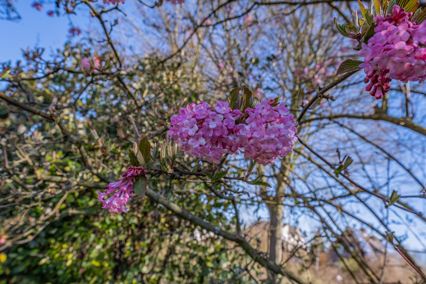 Foto 34 van Brederode 7