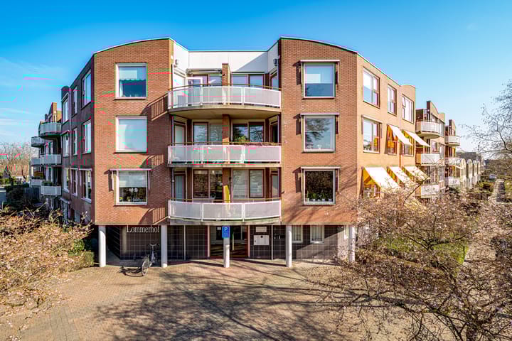 Foto 8 van Schapenweide 66