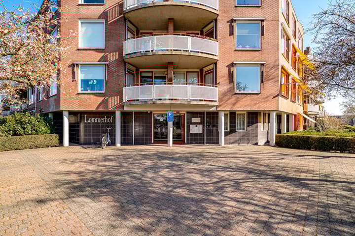 Foto 9 van Schapenweide 66