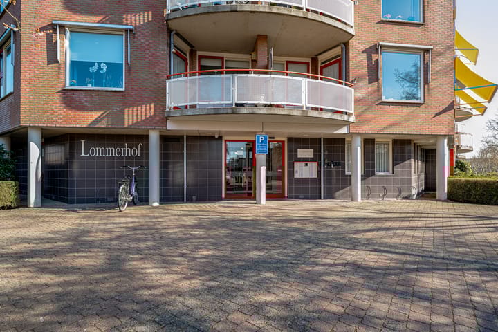 Foto 10 van Schapenweide 66