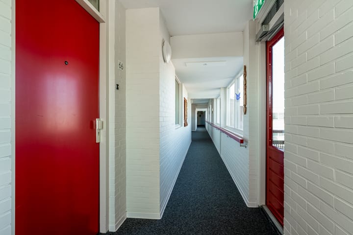 Foto 14 van Schapenweide 66