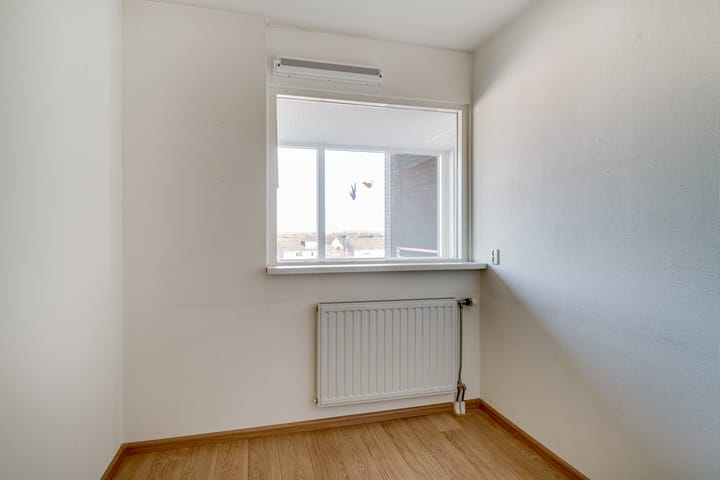 Foto 21 van Schapenweide 66