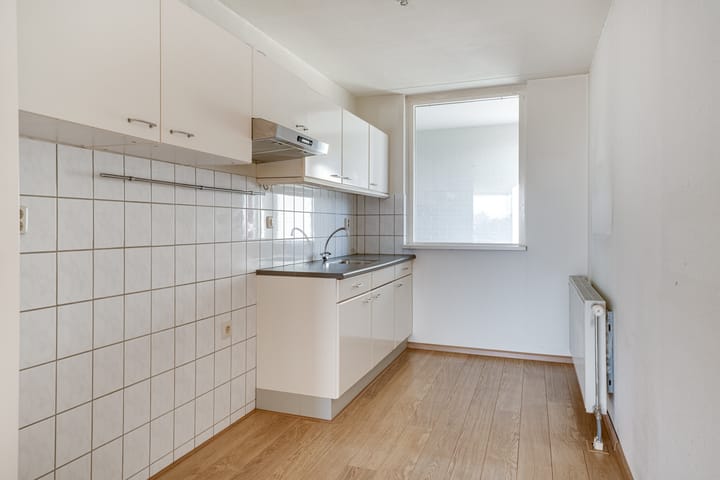 Foto 31 van Schapenweide 66