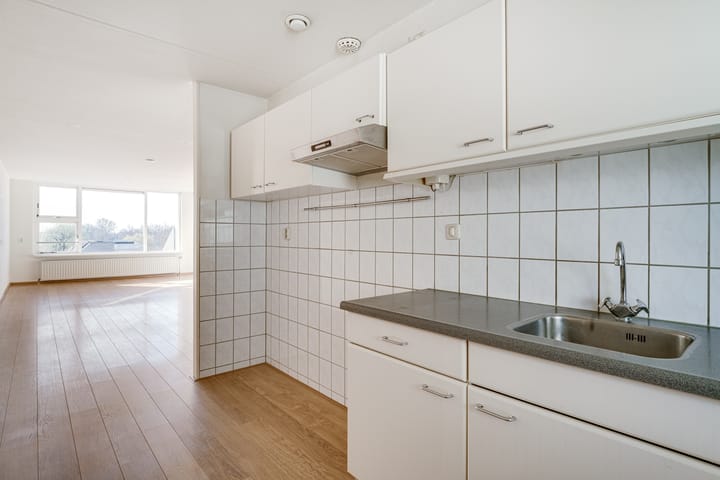 Foto 33 van Schapenweide 66