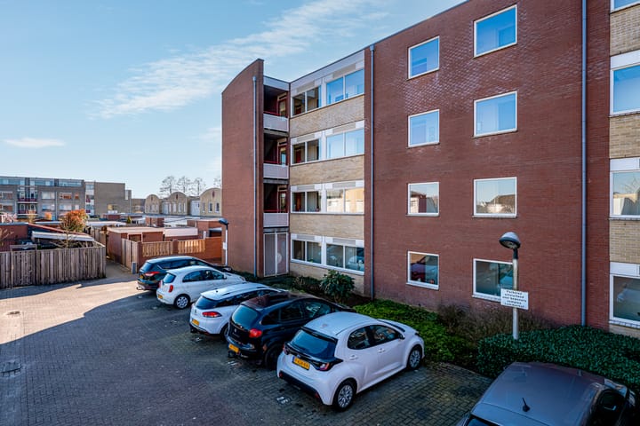 Foto 42 van Schapenweide 66