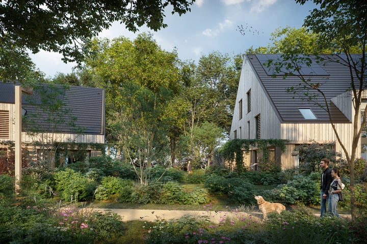 Foto 4 van Terpwoning (Bouwnr. 20)