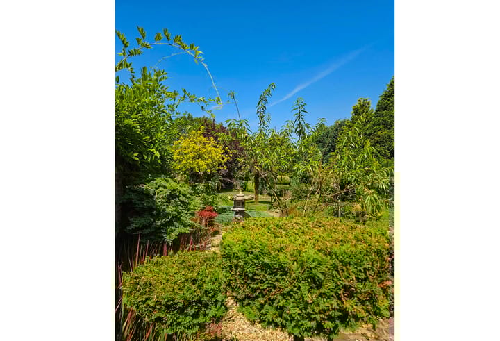 Foto 51 van Scheerstraat 4