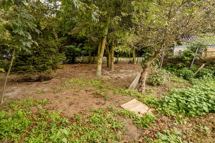 Foto 53 van Scheerstraat 4