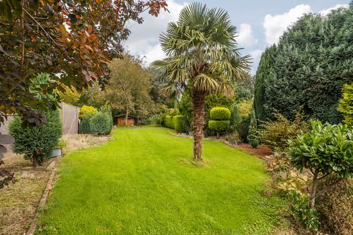 Foto 55 van Scheerstraat 4