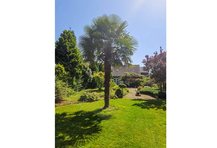 Foto 57 van Scheerstraat 4