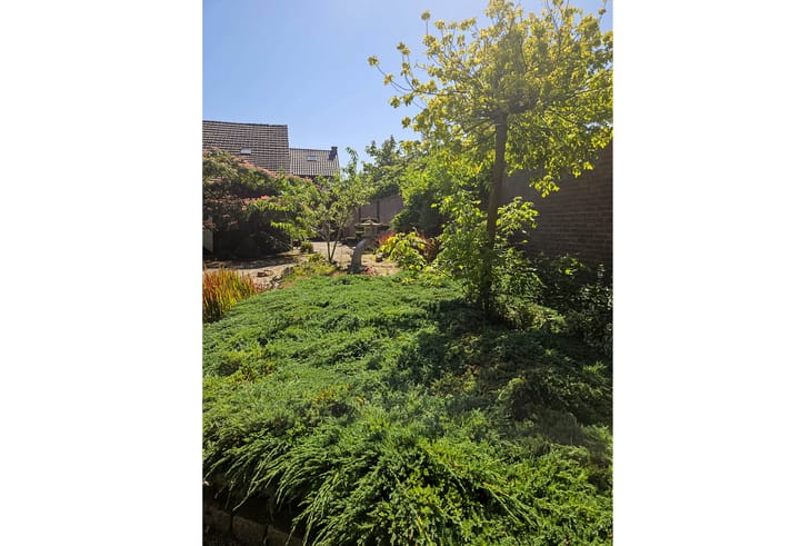 Foto 59 van Scheerstraat 4