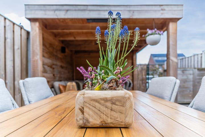 Photo 47 of Kersenveld 20