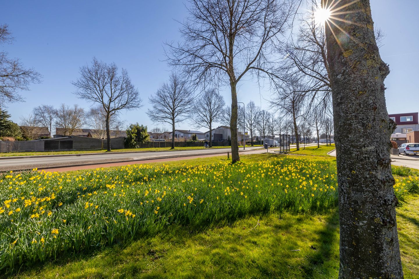 Foto 44 van Hendrik Johan Melgersstraat 17