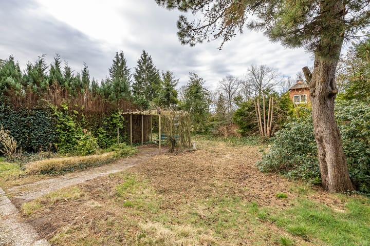 Foto 20 van Douglaslaan 3