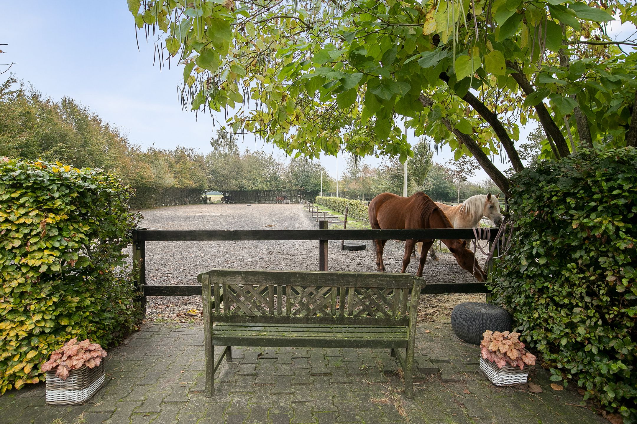 Photo 21 of Wollinghuizerweg 50