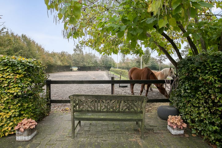 Foto 21 van Wollinghuizerweg 50