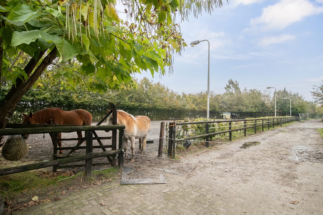 Photo 22 of Wollinghuizerweg 50