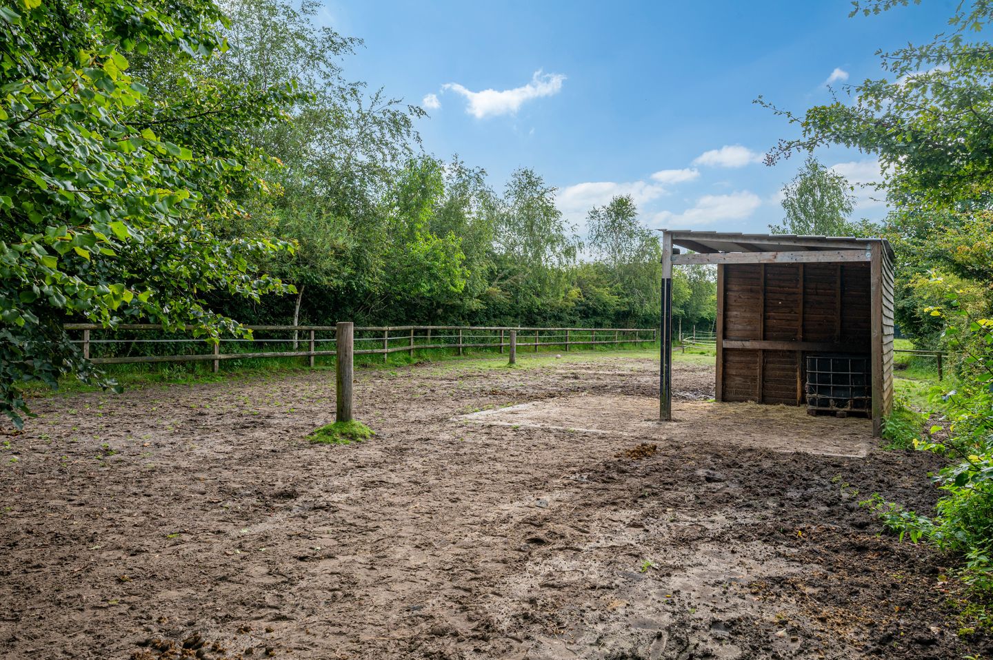 Photo 29 of Wollinghuizerweg 50