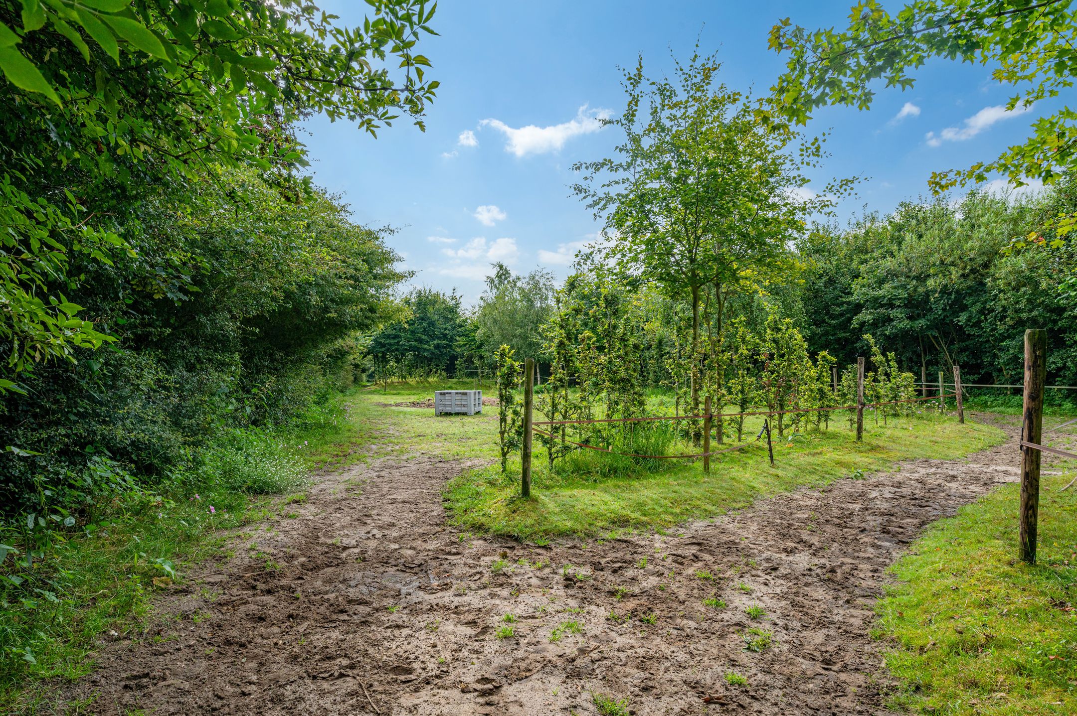 Photo 33 of Wollinghuizerweg 50