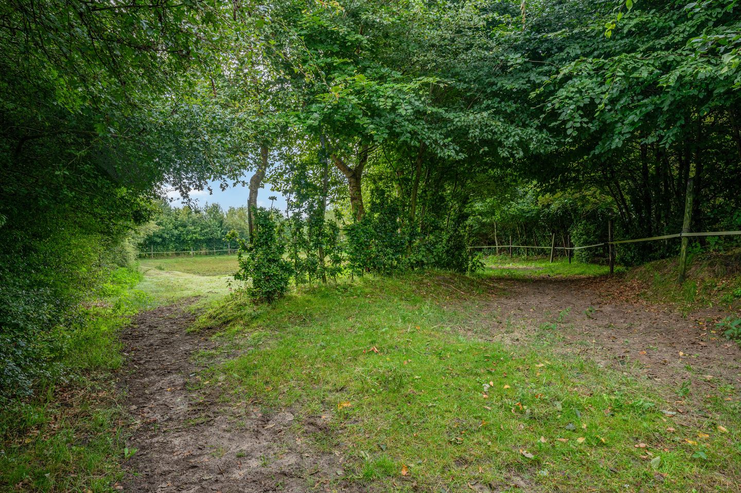 Photo 35 of Wollinghuizerweg 50