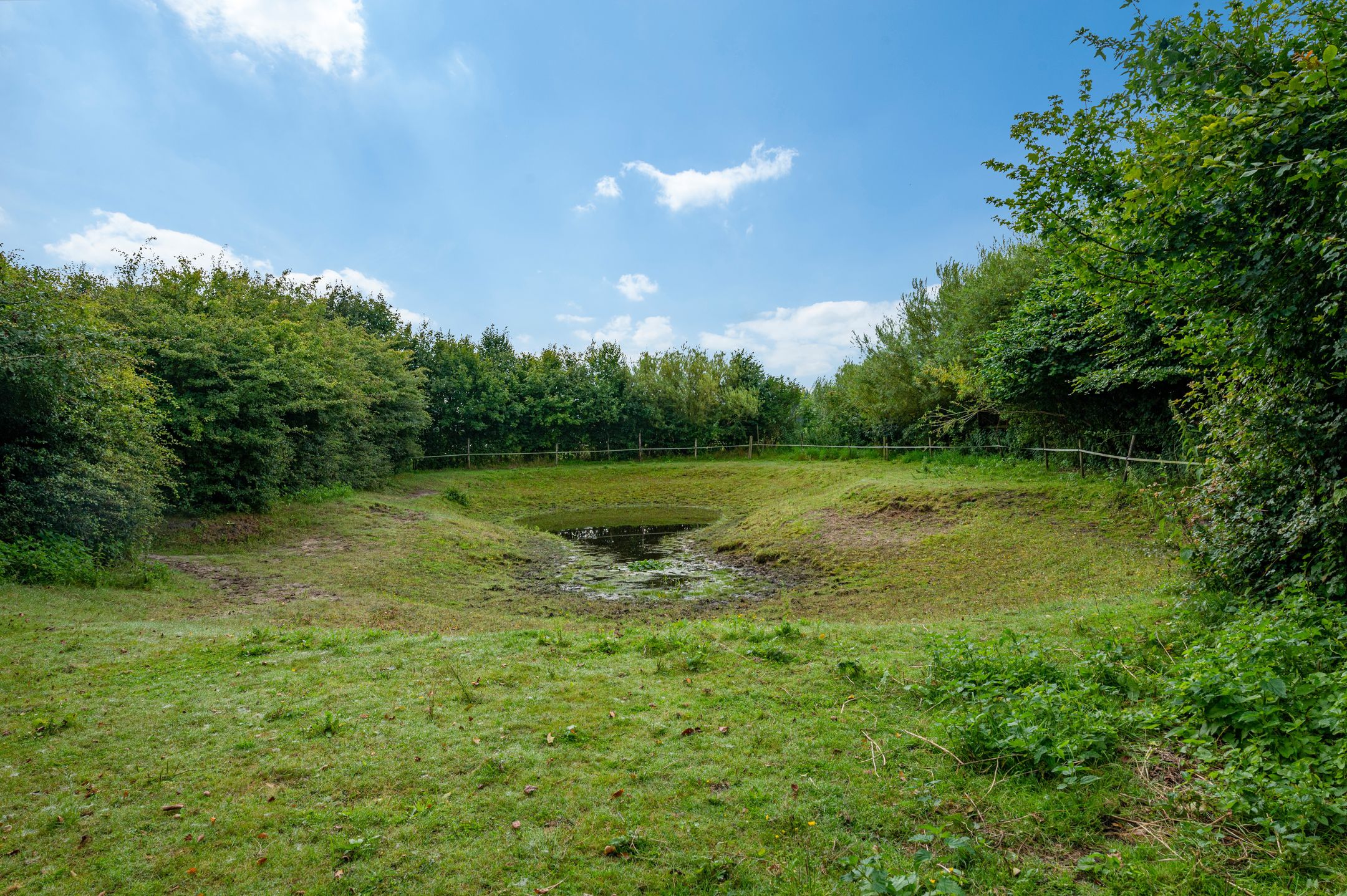 Photo 36 of Wollinghuizerweg 50