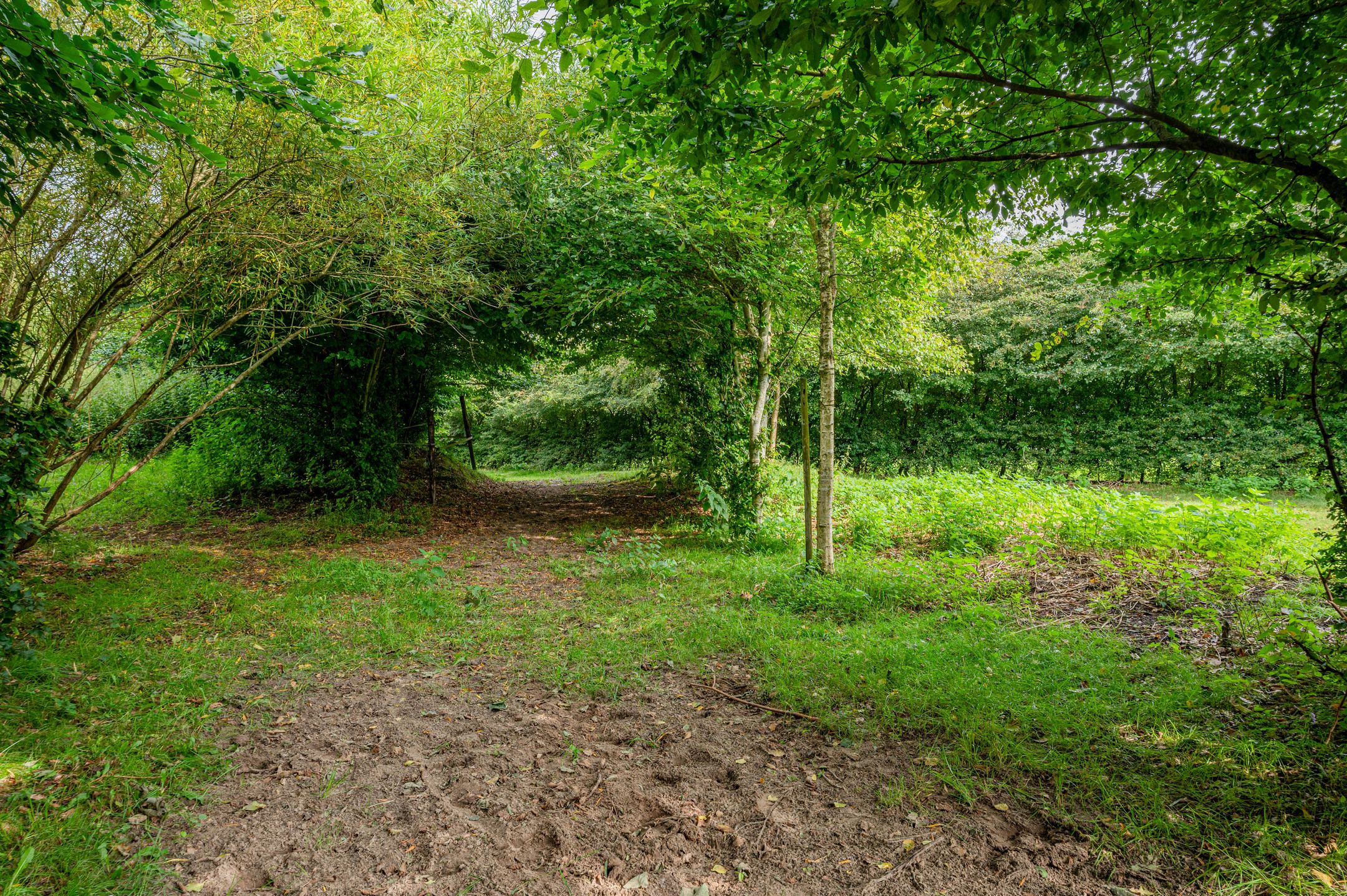 Photo 39 of Wollinghuizerweg 50