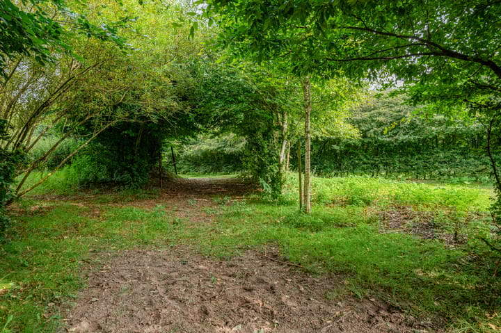 Foto 39 van Wollinghuizerweg 50