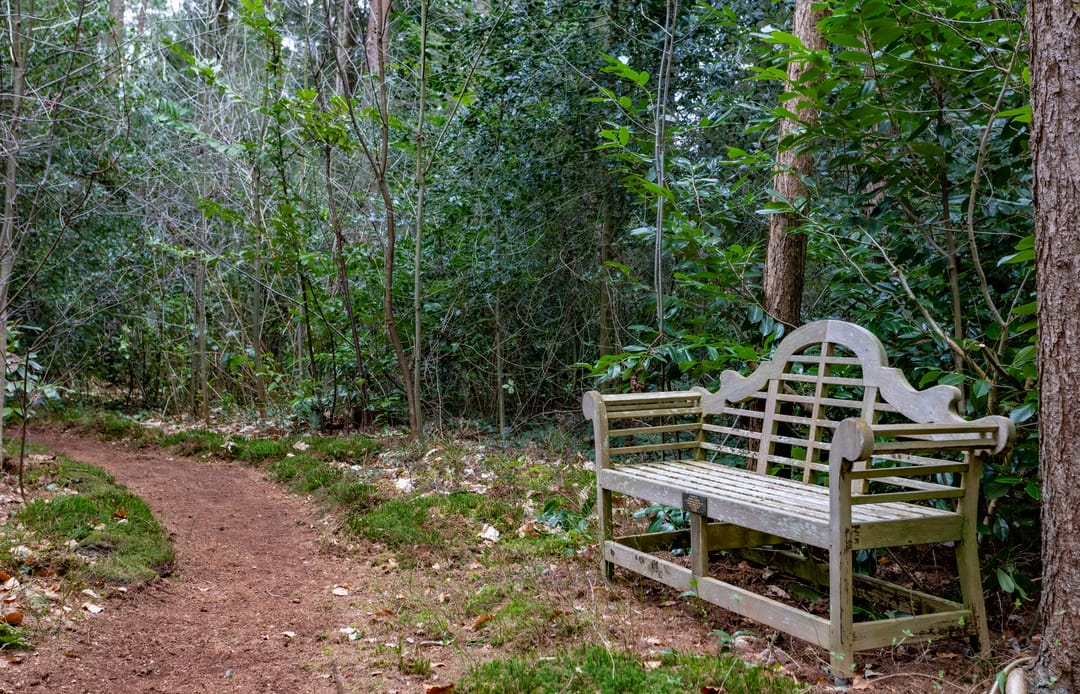 Foto 41 van Koningin Emmalaan 9