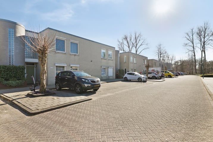 Van Lingelaan 13 main image