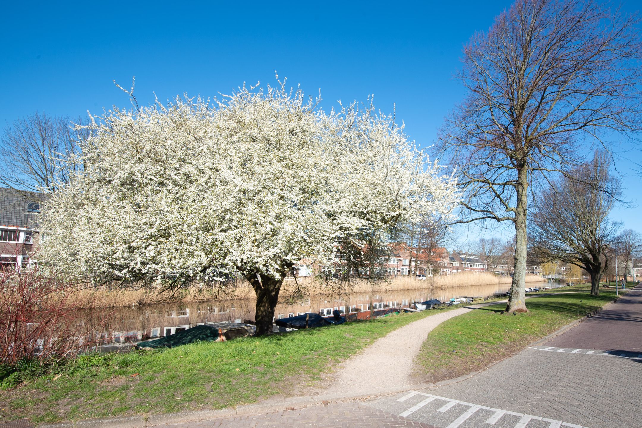 Foto 57 van Anna van Burenstraat 30