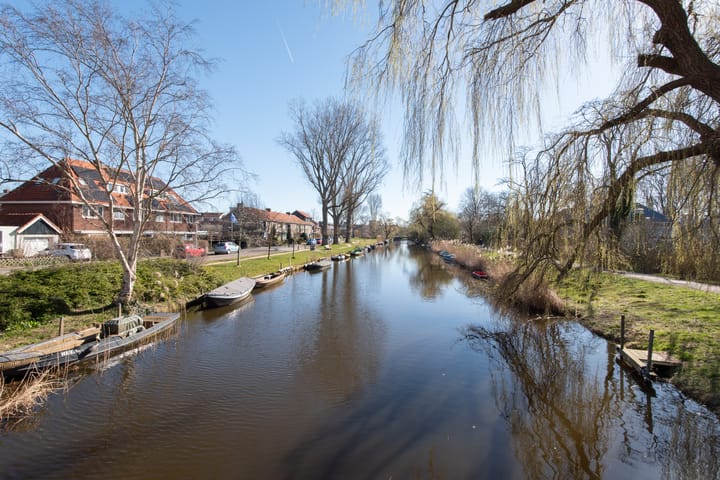 Foto 58 van Anna van Burenstraat 30