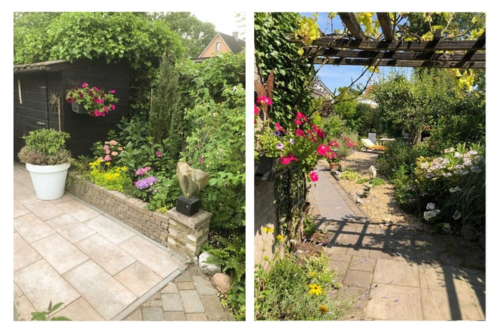 Foto 44 van Meeuwenlaan 24