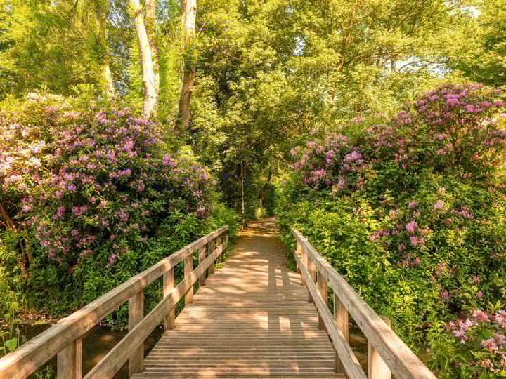 Foto 33 van Monnet-Nes 8