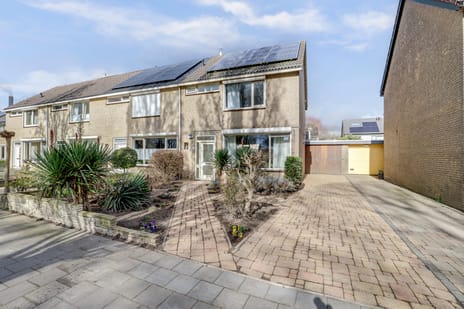 undefined main image