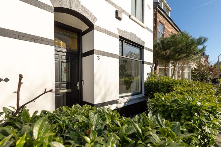 Foto 29 van Pauwenstraat 3