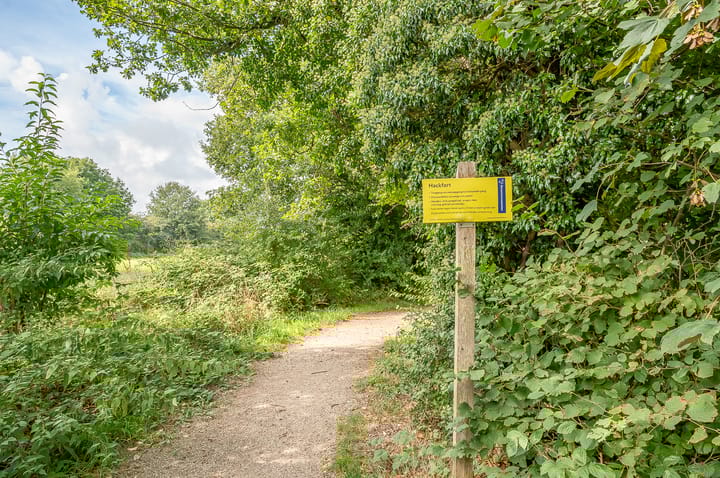 Foto 14 van de Jongstraat 3