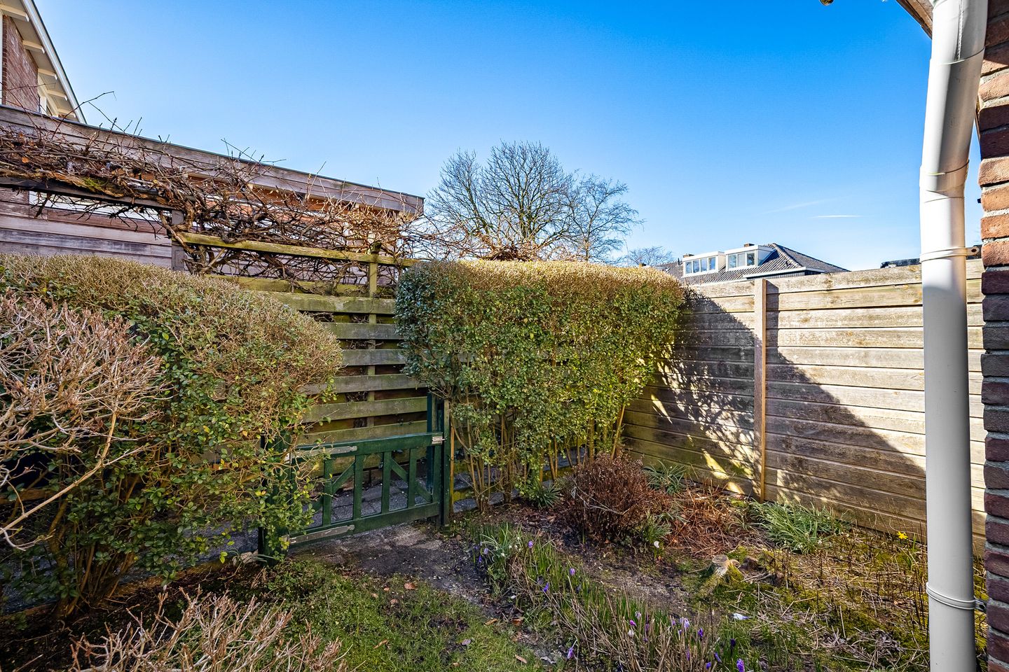 Foto 40 van Dr. Bosstraat 19