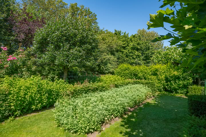 Foto 20 van Tinbergenstraat 30