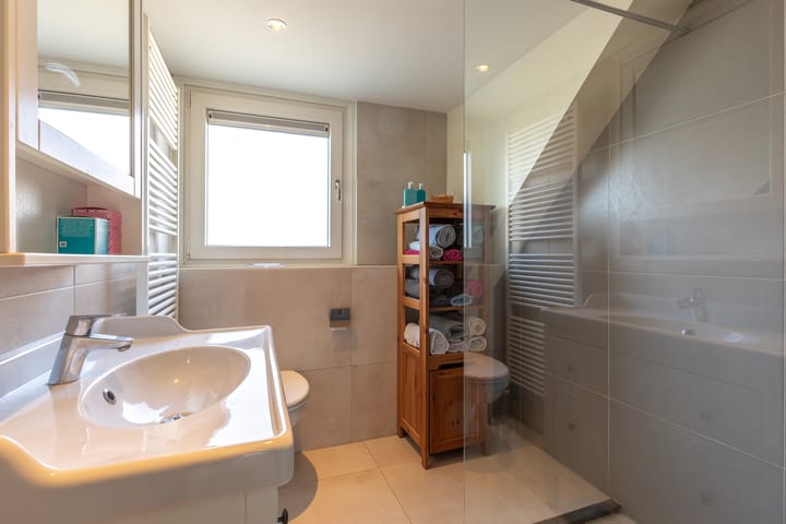 Foto 5 van de Brik 6