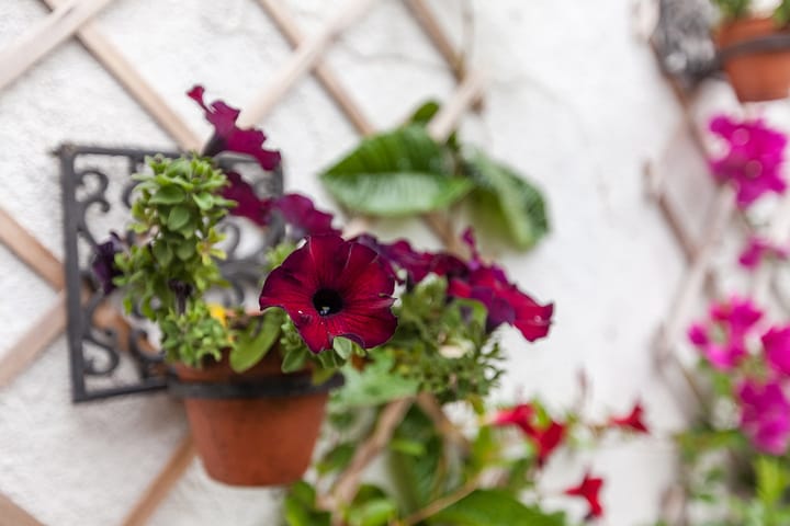 Foto 7 van Noorderkerkstraat 17