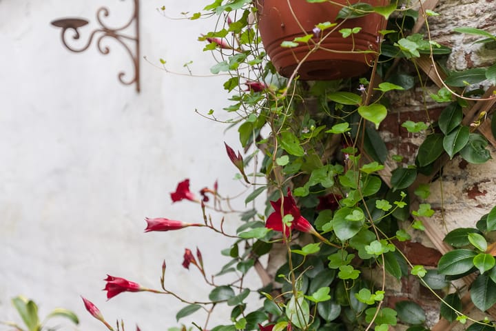 Foto 8 van Noorderkerkstraat 17