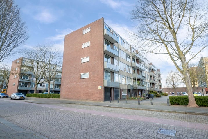 Nicolaas Maesstraat 156 main image