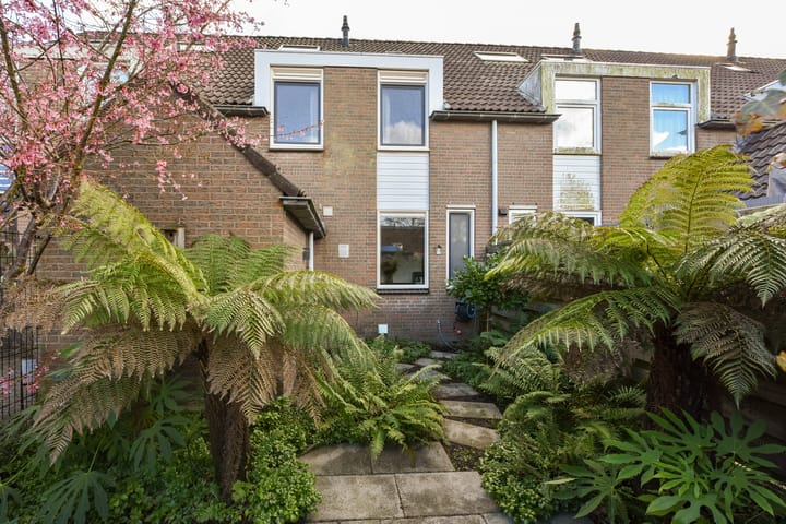 Foto 28 van Brandnetel 33