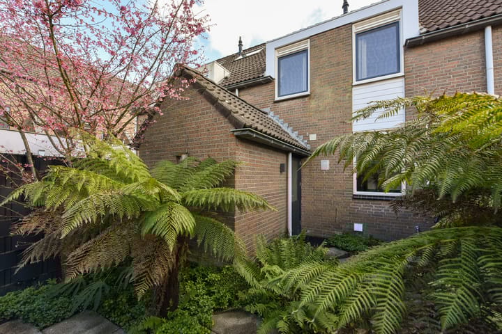 Foto 35 van Brandnetel 33