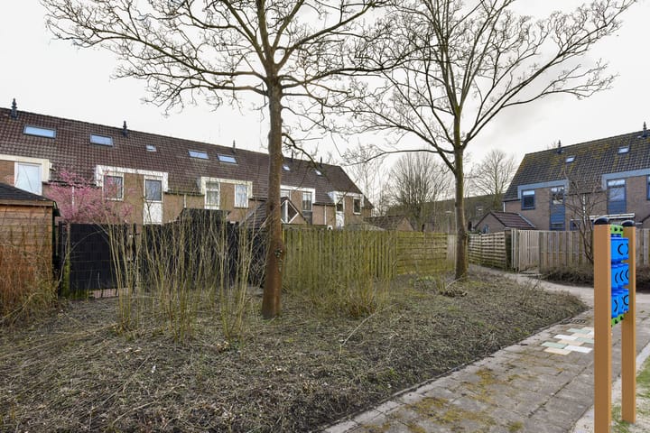 Foto 37 van Brandnetel 33