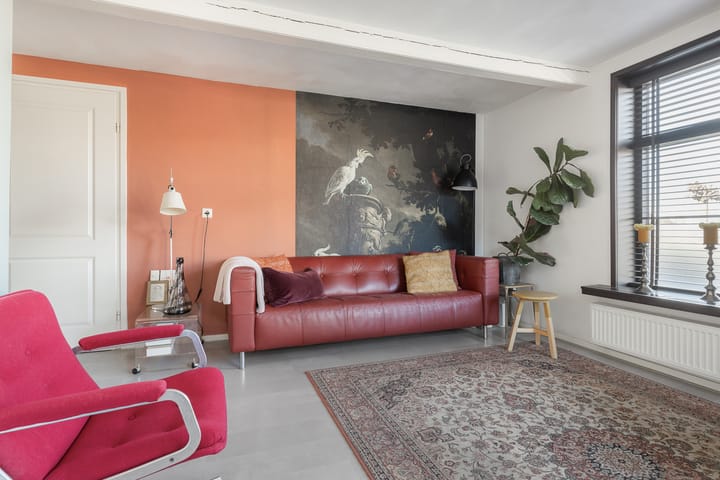 Foto 10 van Moeshorn 7