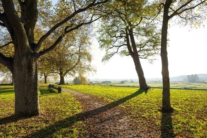 Foto 45 van Sint Jorisstraat 28