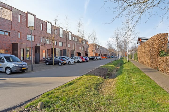 Foto 25 van Grasbloem 11